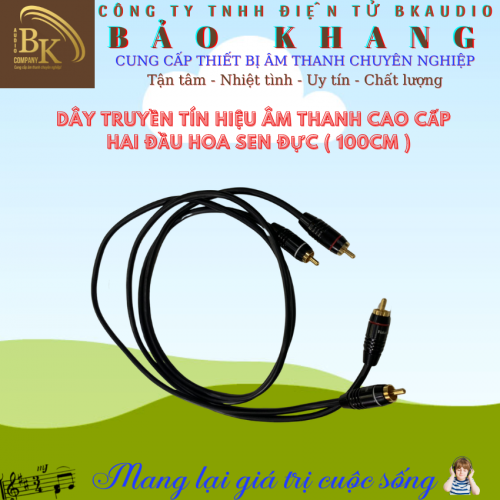 Cáp tín hiệu âm thanh SPCTH-04