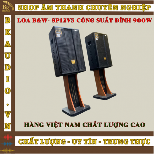 Loa B&W-SP12V5 để bàn hoặc treo tường cao cấp B&W công suất lớn ( nghe nhạc , karaoke ,..)